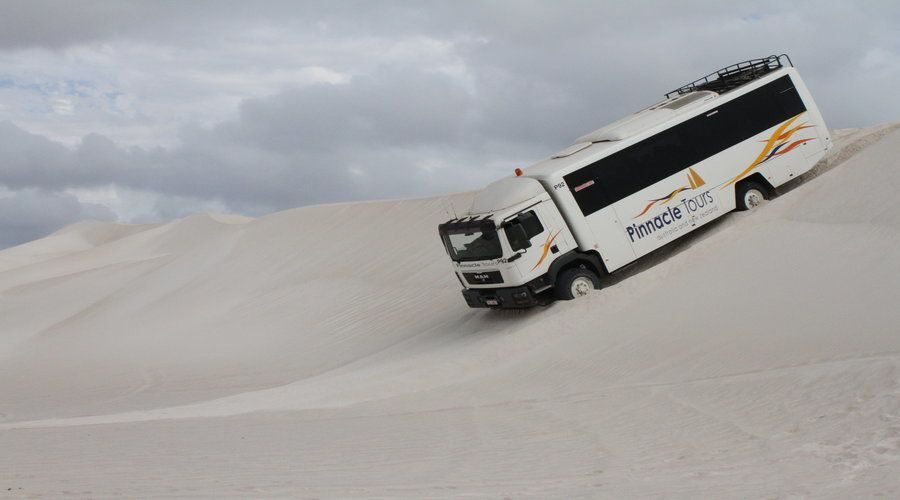 Pinnacles, Koalas, 4WD & Sandboarding Tour from Perth - Who This Tour Fits Best (And Who Should Rethink It)