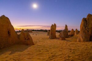 Pinnacles Sunset Stargazing Dinner Experience Small Group Tour - Nilgen Nature Reserve vs Hangover Bay: flowers or sea life, depending on season