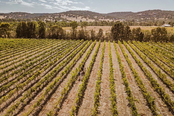 Private Tour: Premium Swan Valley Wine Tour from Perth - Private Swan Valley, Not a Bus Full of Strangers