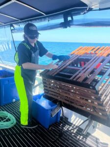 Rockingham: Lobster Catch and Keep Tour with Refreshments - The Scenic Boat Ride and Marine Life Viewing (What You Actually Learn Here)
