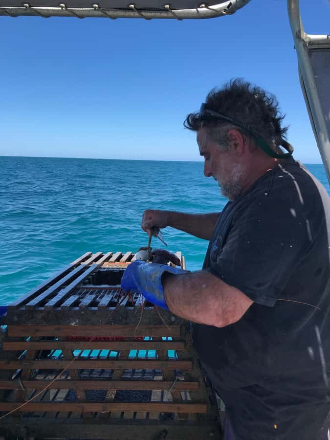 Rockingham: Lobster Catch and Keep Tour with Refreshments - FAQ