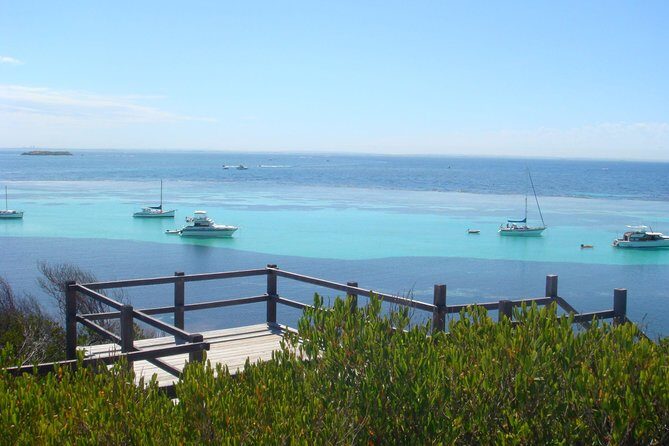 Rottnest Bayseeker Bus Tour from Hillarys Boat Harbour - Hillarys Boat Harbour: The calm start to a Rottnest day