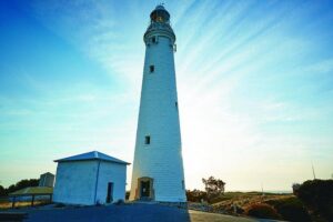 Rottnest Bayseeker Bus Tour from Hillarys Boat Harbour - Fast Rottnest ferry: Quick timing, real ocean feel