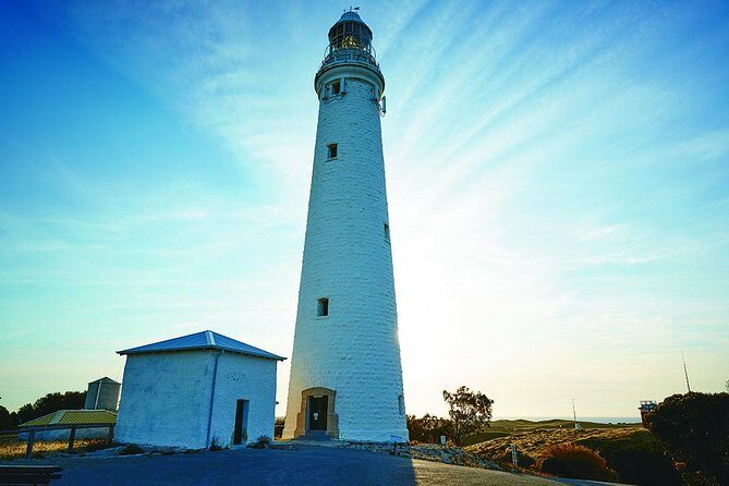 Rottnest Bayseeker Bus Tour from Hillarys Boat Harbour - Fast Rottnest ferry: Quick timing, real ocean feel