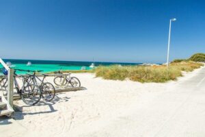 Rottnest Island Bayseeker Day Trip from Perth - The Bayseeker bus tour: efficient sights with a driver who actually talks