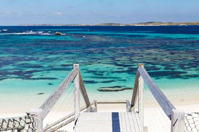 Rottnest Island Bayseeker Day Trip from Perth - Price and value: what you’re really paying for at $129.82