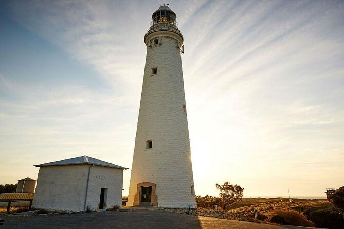 Rottnest Island Bayseeker Day Trip from Perth - Group size, finding the bus, and comfort: small details that change the day