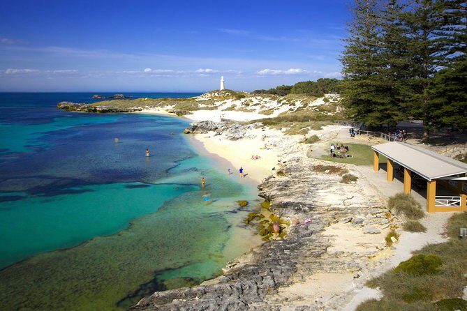 Rottnest Island Fast Ferry from Hillarys Boat Harbour Including Bike Hire - The Fast Ferry Ride: Timing, Comfort, and Harbour Views