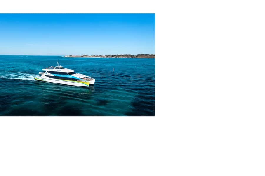 Rottnest Island Ferry and 1.75 Hr Bus Tour - Key things that make this Rottnest day work