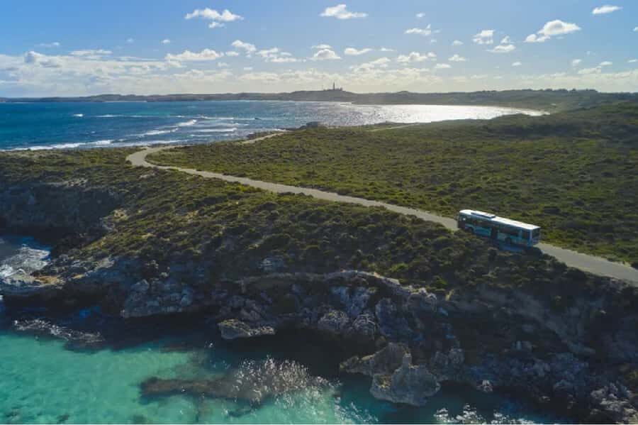 Rottnest Island Ferry and 1.75 Hr Bus Tour - Why the 7:30 AM ferry from Hillarys is the whole game
