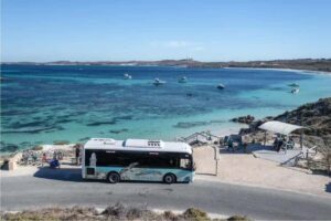 Rottnest Island Ferry and 1.75 Hr Bus Tour - The fast ferry timing: quick, comfortable, and not a time sink