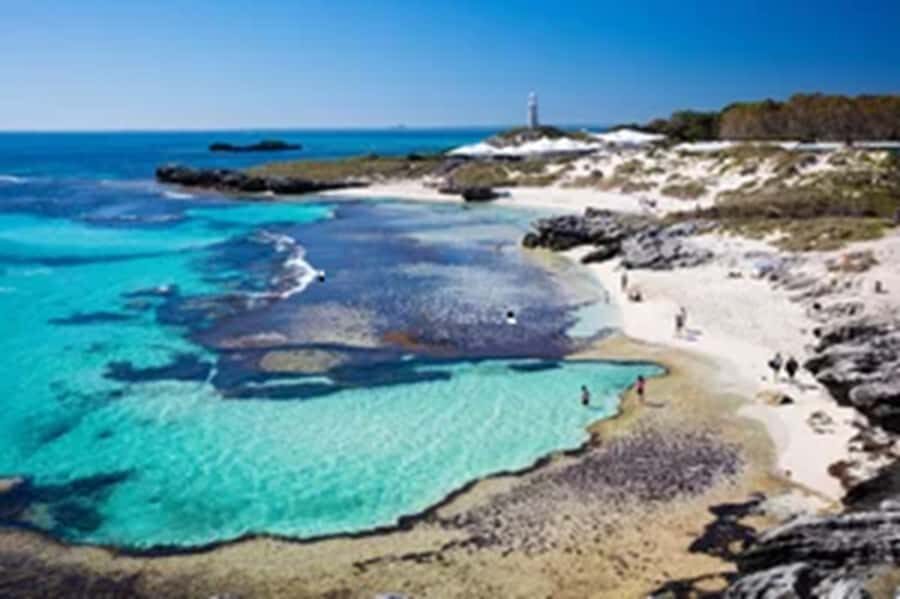 Rottnest Island Ferry and 1.75 Hr Bus Tour - Afternoon freedom: how to use the free time after the bus tour