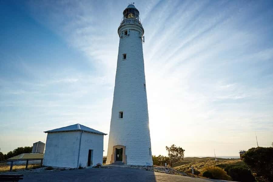 Rottnest Island Ferry and 1.75 Hr Bus Tour - Price and value: is $99 worth it?