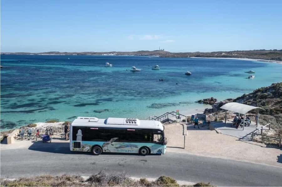 Rottnest Island Ferry and 1.75 Hr Bus Tour - The fast ferry timing: quick, comfortable, and not a time sink