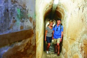 Rottnest Island Full-Day Trip With Guided Island Tour From Perth - Getting there: ferry + pickup and the timing you should expect