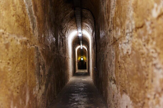 Rottnest Island Historical Train and Tunnel Tour from Hillarys Boat Harbour - Train Up to Oliver Hill: The Part That Changes the View