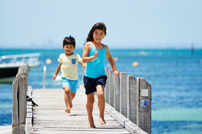 Rottnest Island Roundtrip Fast Ferry from Hillarys Boat Harbour - Why a Rottnest fast ferry day trip makes sense