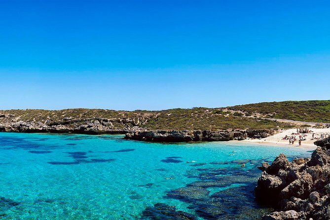 Rottnest Island Roundtrip Fast Ferry from Hillarys Boat Harbour - Bikes vs the shuttle: how to cover Rottnest without burning out