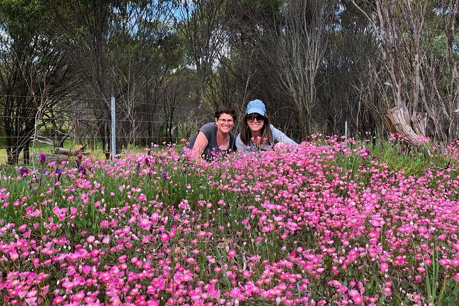 Spring Wildflower Private Day Tours - Kings Park and Botanic Garden: where the day often starts
