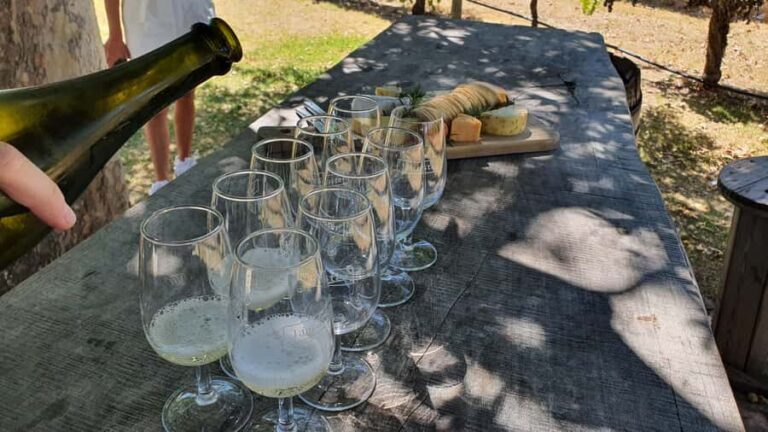 Swan Valley: Full-Day Wine Tour with Lunch - Where you start in Perth: pickup points that save your morning