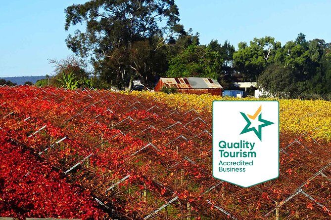 Swan Valley Region Private Day Tours - Key things to know before you go