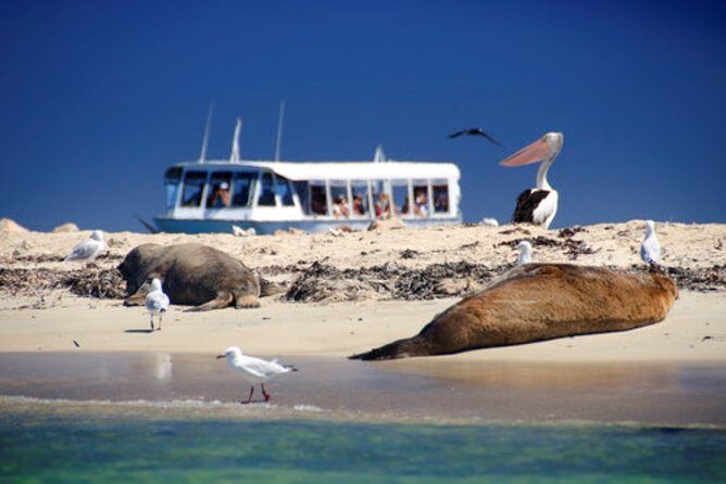 Swan Valley Wine Cruise - Stop 3 on the return: desserts and live entertainment