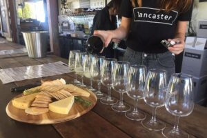 Swan Valley Wine Tour - Half Day Afternoon - The 12:15pm pickup plan: where the day starts (and how to avoid stress)