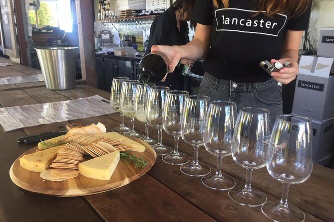 Swan Valley Wine Tour - Half Day Afternoon - Price and value check: is $75.31 per person fair?