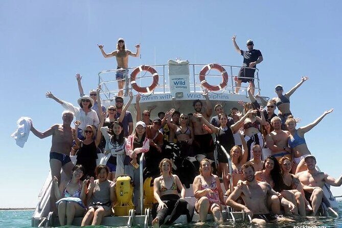 Swim with Wild Dolphins Day Tour - Finding the dolphins: how the crew turns local knowledge into real sightings