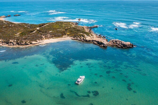 Swim with Wild Dolphins Day Tour - Price and value: what $214.46 buys you (and what it doesn’t)
