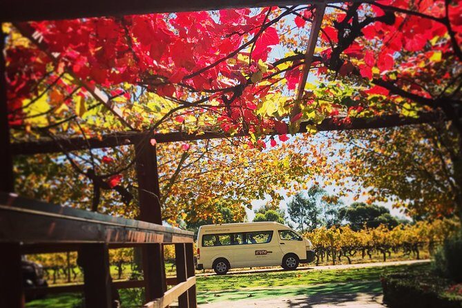 Ultimate Swan Valley Food and Wine Day Trip from Perth - Who Should Book This Swan Valley Food and Wine Day Trip