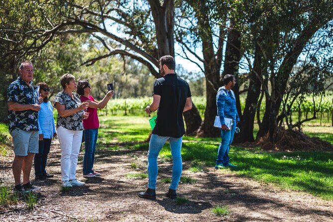 Upper Reach Winery: Swan Valley Winery and Vineyard Tour - How long it takes, and how to plan your day around it