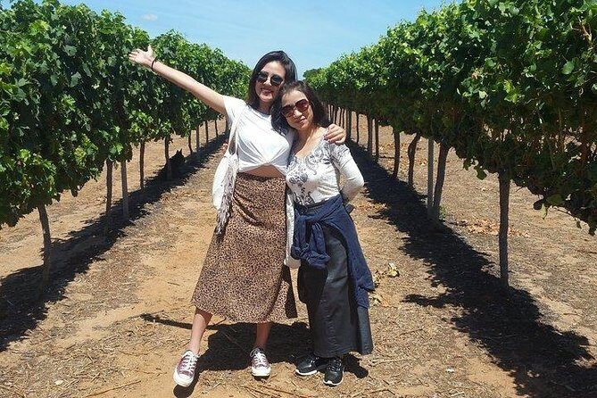 VIP Swan Valley Wine Tour - Premium Small Group Wine & Gourmet Experience - Key Points Worth Noticing