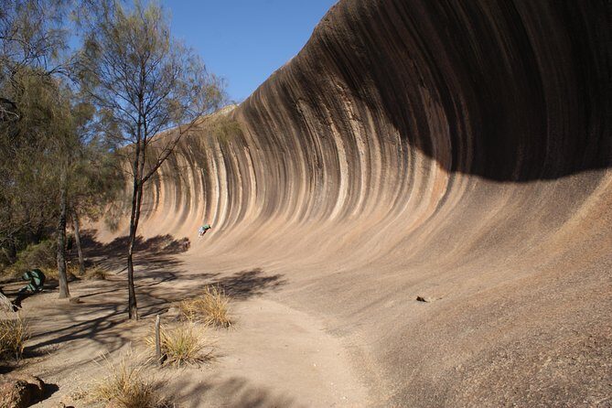 Wave Rock and Pinnacles Air & Ground Tour - Key points worth knowing