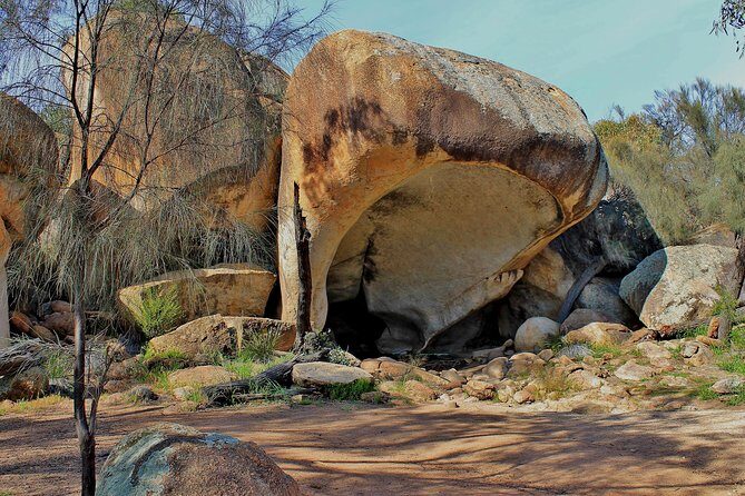 Wave Rock and Pinnacles Air & Ground Tour - Wave Rock on the Ground: Hippo’s Yawn and More to Choose From