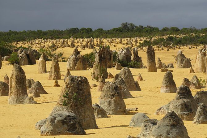 Wave Rock and Pinnacles Air & Ground Tour - Lunch Between Stops: Included Food When You Need It