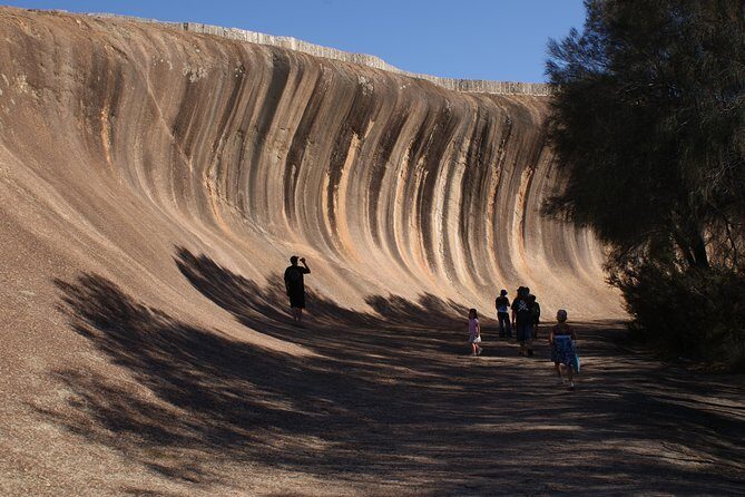 Wave Rock, Pinnacles and Rottnest One Day Aeroplane Tour - Key Points You’ll Care About