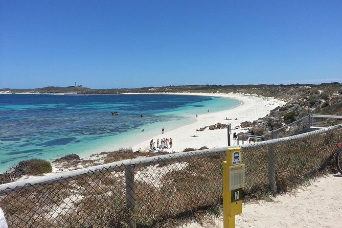 Wave Rock, Pinnacles and Rottnest One Day Aeroplane Tour - Stop 4: Rottnest Island Free Time and Quokkas