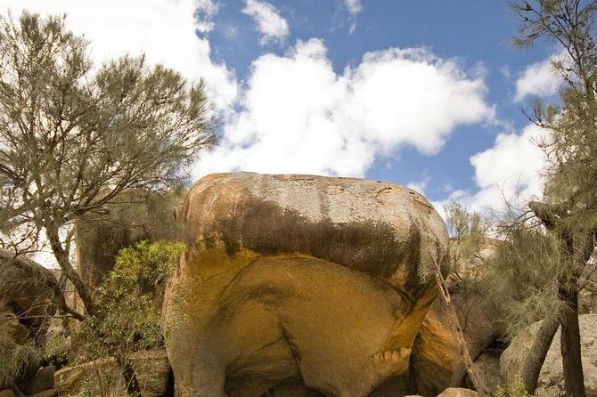 Wave Rock, York and Aboriginal Cultural Day Tour from Perth - York Town Hall: Pioneer Perth’s First Inland Stop