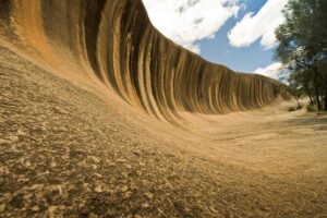 Wave Rock, York and Aboriginal Cultural Day Tour from Perth - The Road Stops That Make It Better: Sheepdogs, Spring Blooms, and Those Photo Windows