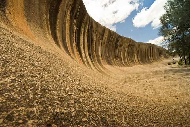 Wave Rock, York and Aboriginal Cultural Day Tour from Perth - The Road Stops That Make It Better: Sheepdogs, Spring Blooms, and Those Photo Windows